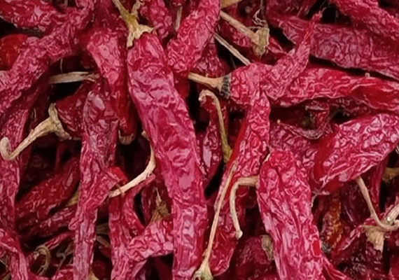 Devanur Deluxe (DD) Chilli