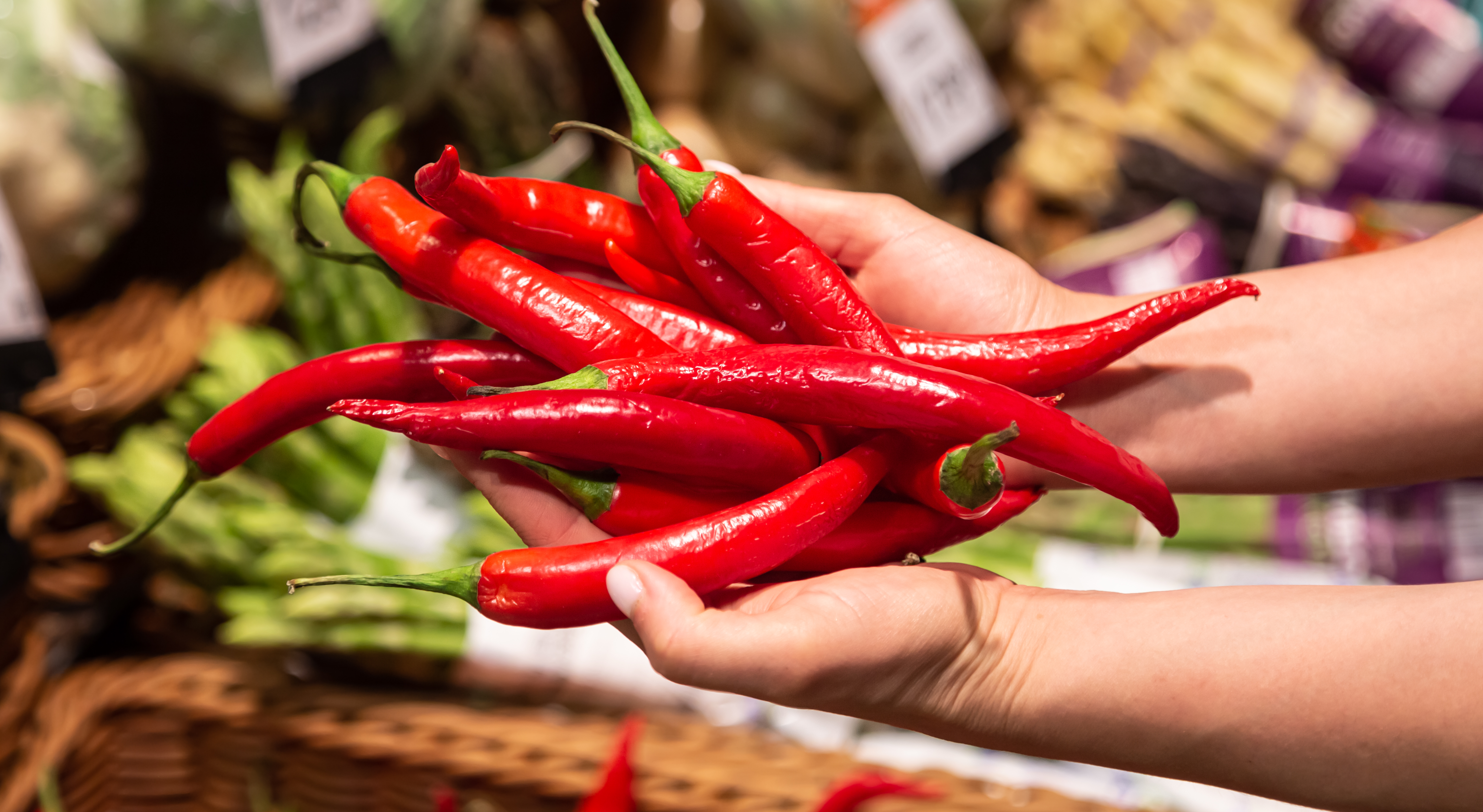 Red chilli sorting and selection